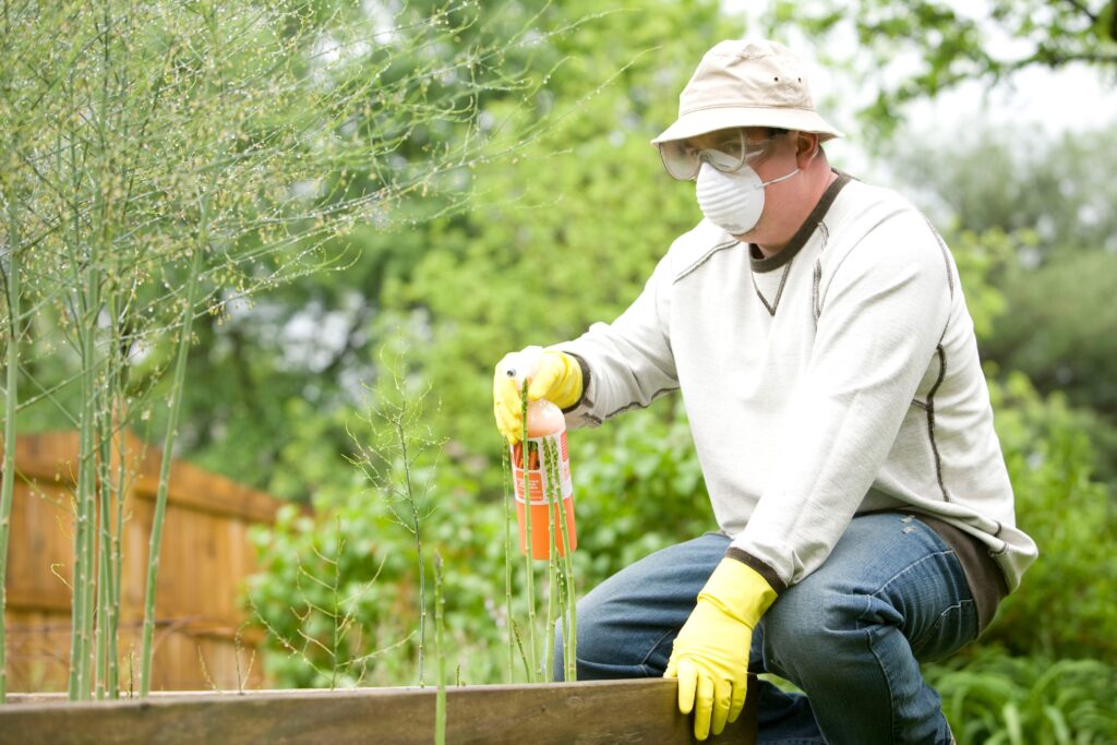 Effective Methods to Eliminate Flies Indoors