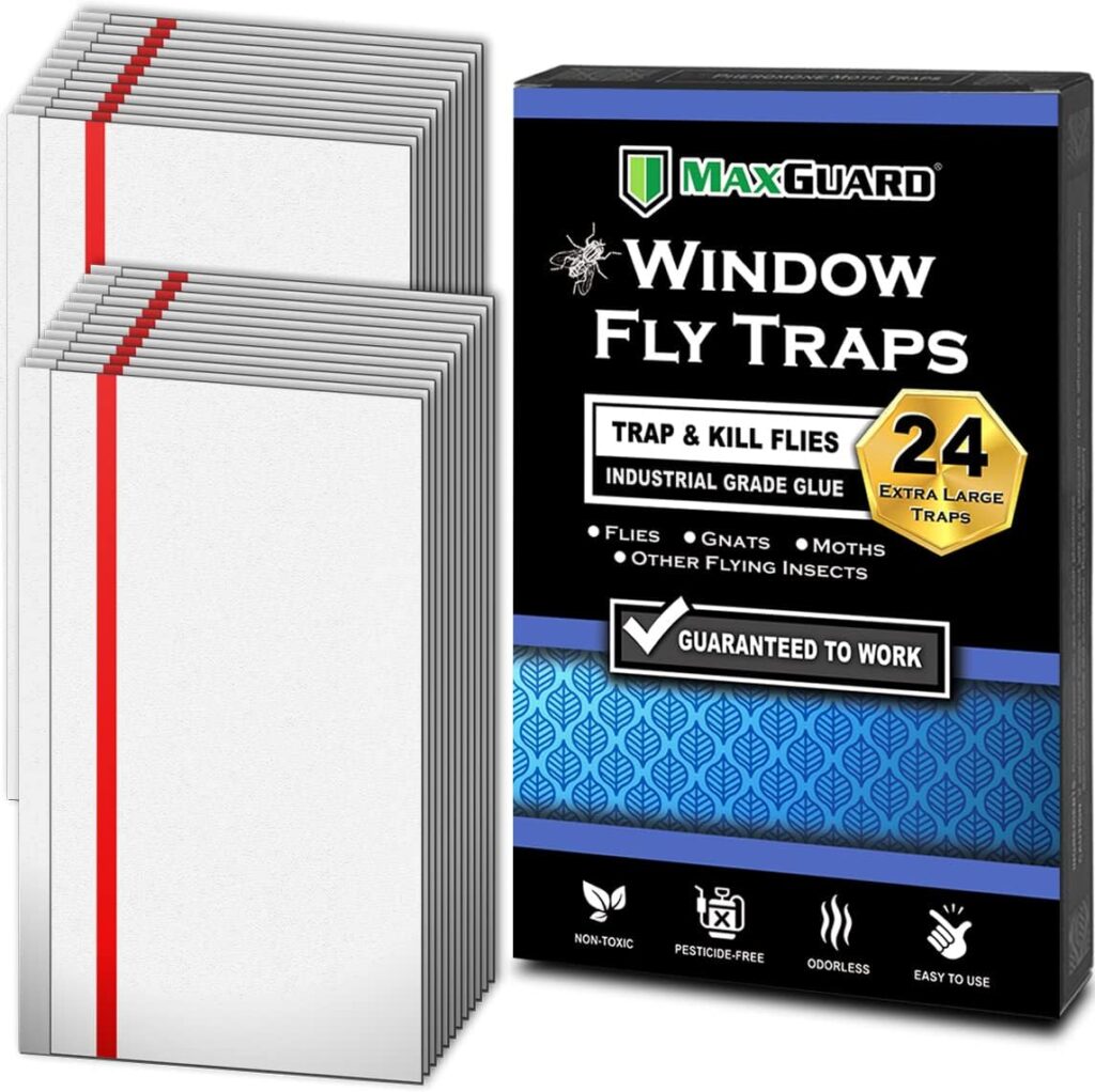 MaxGuard Window Fly Traps (24 XL Traps) Catch  Kill Houseflies, Flying Insects  Bugs. Non-Toxic Sticky Glue Traps Fly Killer Clear Strip Insect Catcher Safe No Zapping with Zapper |