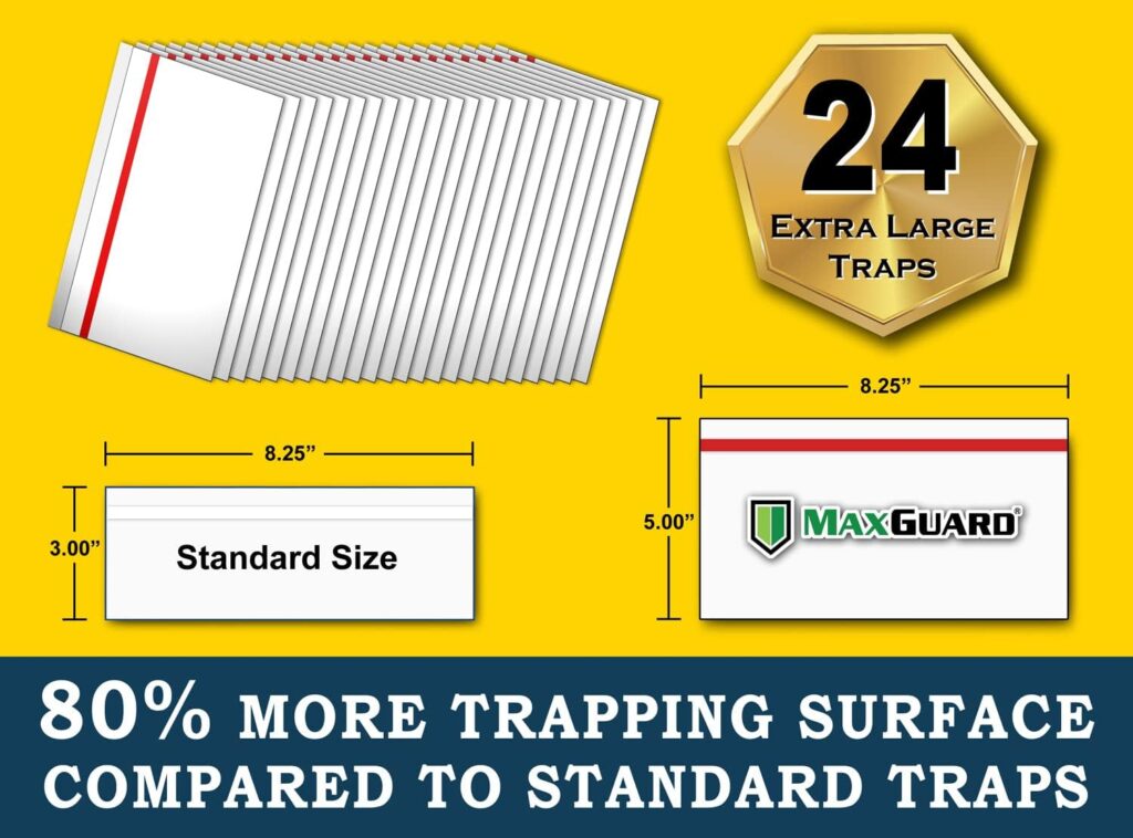 MaxGuard Window Fly Traps (24 XL Traps) Catch  Kill Houseflies, Flying Insects  Bugs. Non-Toxic Sticky Glue Traps Fly Killer Clear Strip Insect Catcher Safe No Zapping with Zapper |