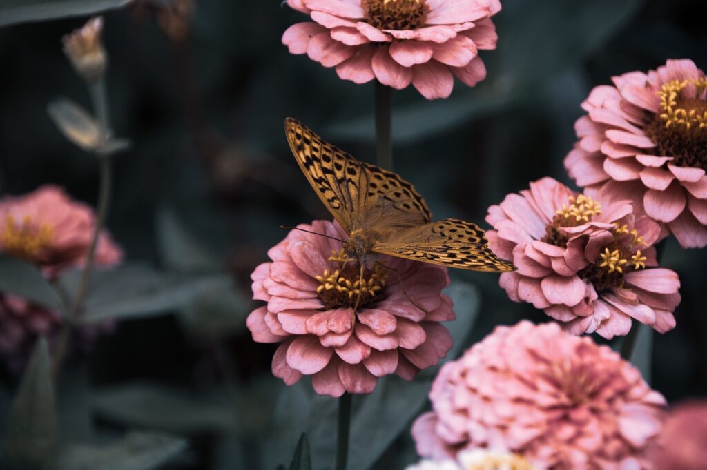 The Science Behind Why Flies Buzz