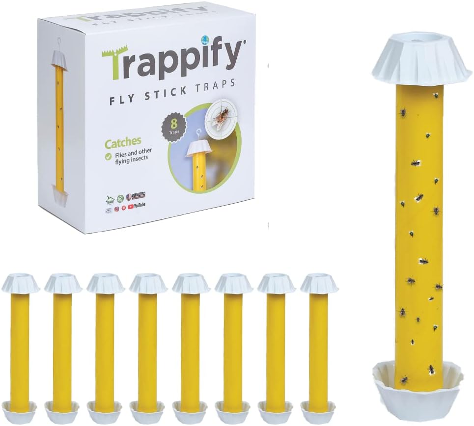 Trappify Hanging Fly Traps Outdoor: Fruit Fly Traps for Indoors | Fly Catcher, Gnat, Mosquito,  Flying Insect Catchers for Inside Home - Disposable Sticky Fly Trap for Indoor House Pest Control