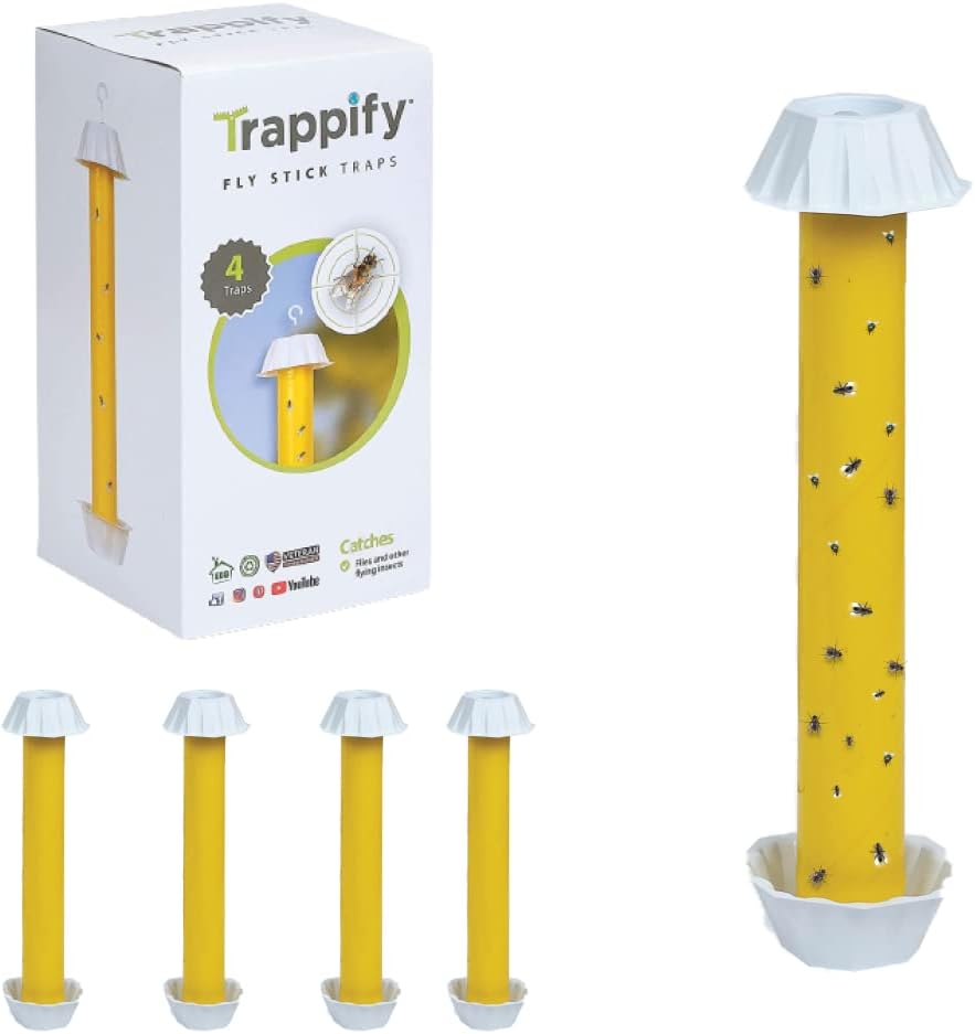 Trappify Hanging Fly Traps Outdoor: Fruit Fly Traps for Indoors | Fly Catcher, Gnat, Mosquito,  Flying Insect Catchers for Inside Home - Disposable Sticky Fly Trap for Indoor House Pest Control